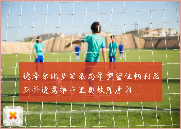 德泽尔比坚定表态希望留住帕利尼亚并透露维卡里奥缺席原因