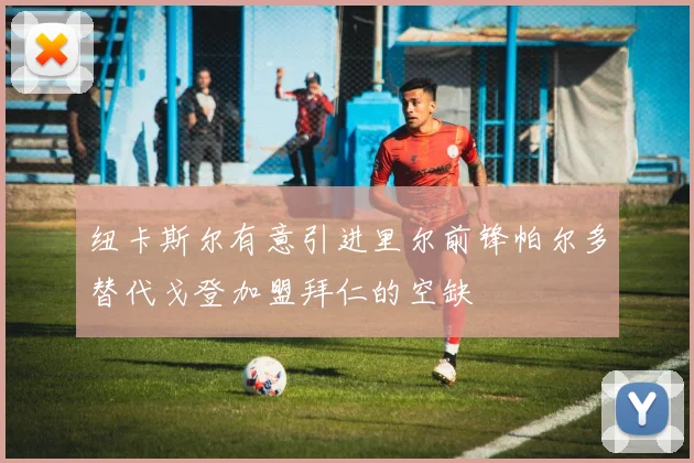 纽卡斯尔有意引进里尔前锋帕尔多替代戈登加盟拜仁的空缺